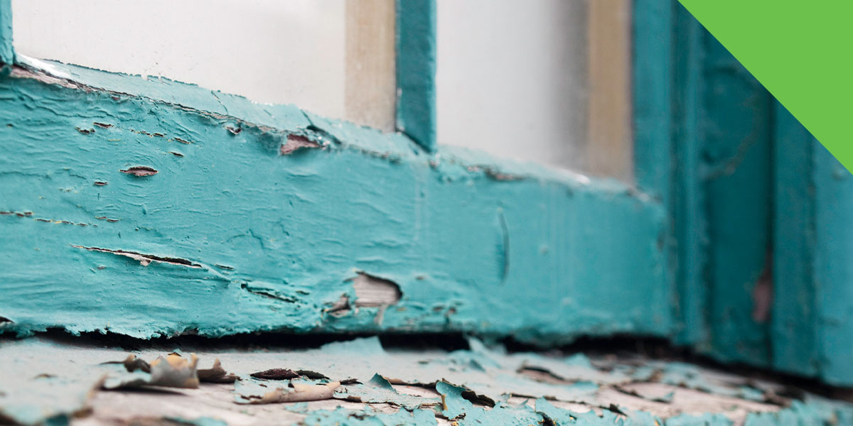 Why Is the Paint Peeling on My Window Frames?