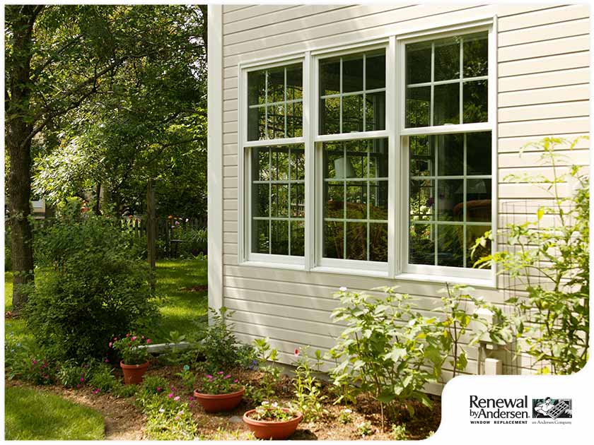 Replacement Windows: Helping You Go Green