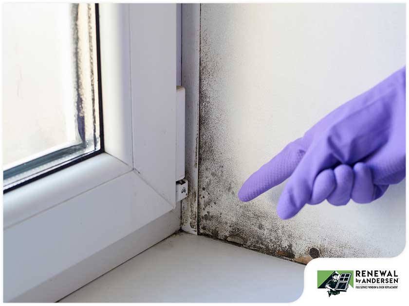 Prevent Mold Growth on Window Casings