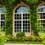 Environmental-Commitment: Sustainable Business Solutions