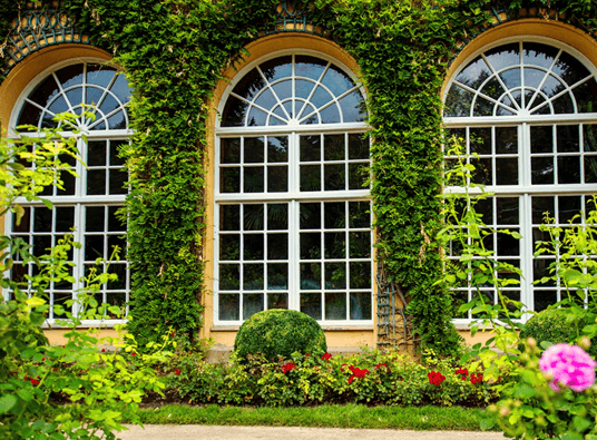 Environmental-Commitment: Sustainable Business Solutions