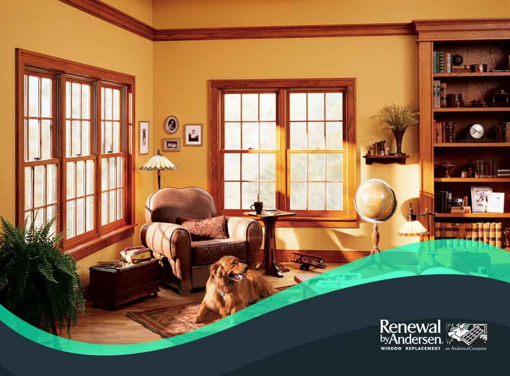 5 Customization Options for Your Double-Hung Windows