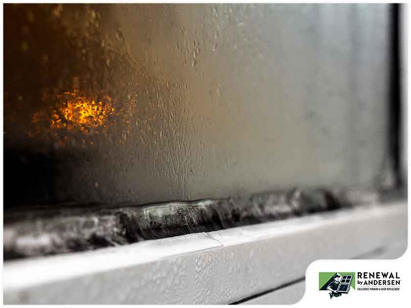 4 Signs That Indicate Window Seal Failure
