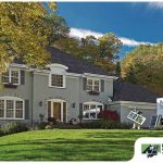 Window Replacement Service