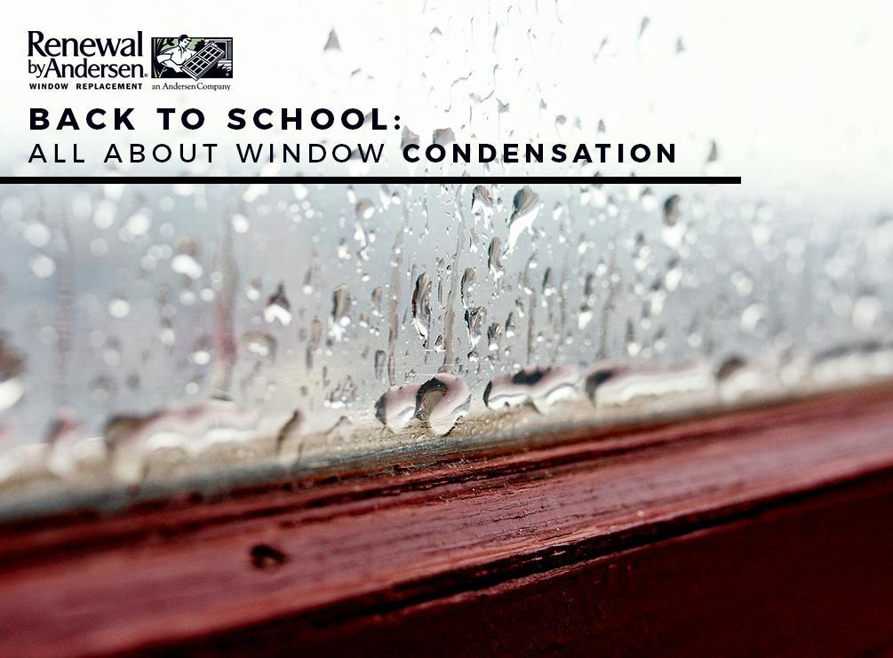 All About Window Condensation