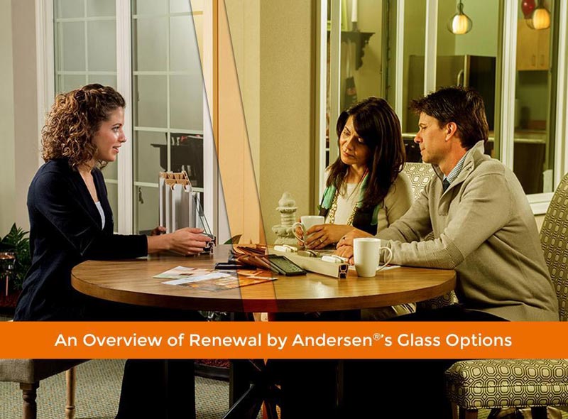 An Overview of Renewal by Andersen®’s Glass Options