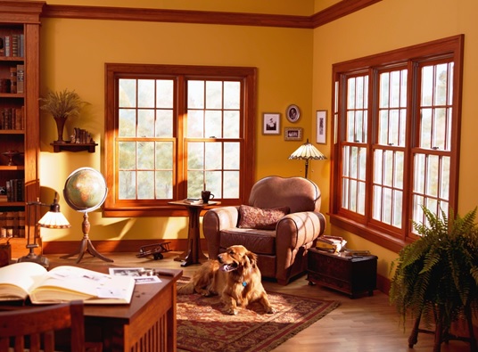 Double-Hung Windows are Unlike Any Other