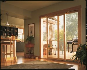 Renewal by Andersen Narrow Line Replacement Patio Door