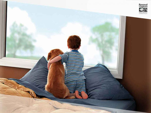 Quick Questions to Determine Your Window’s Safety