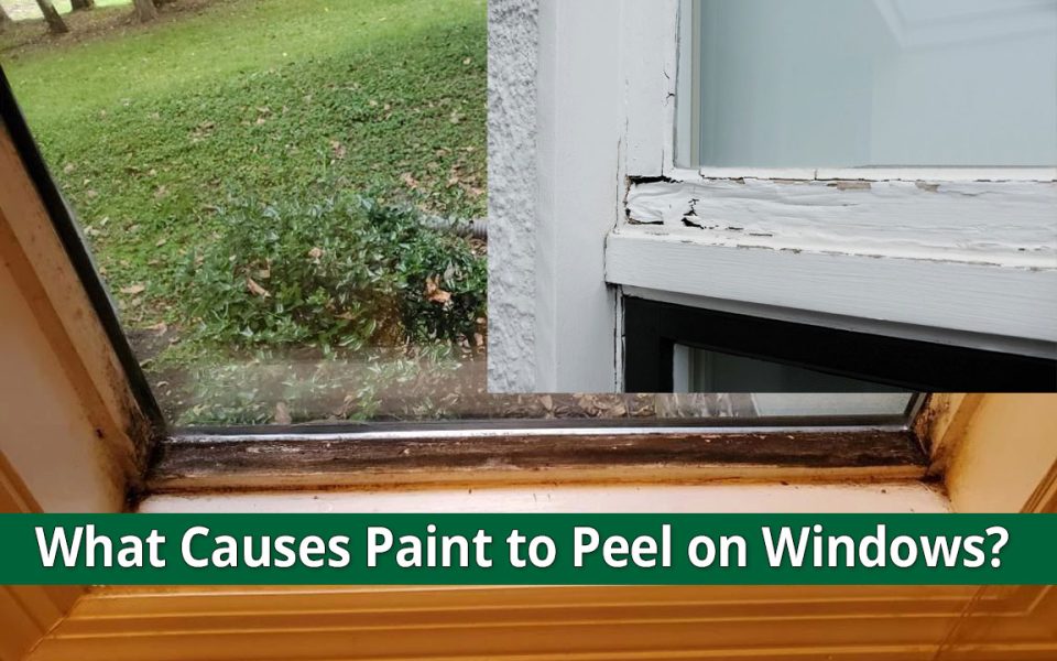 Window Palling Why Is the Paint Peeling on My Window Frames?