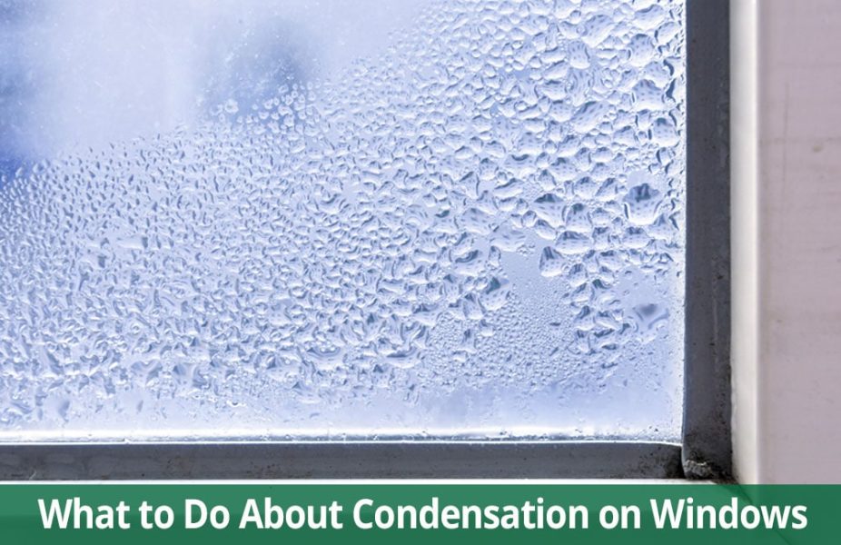 Why So Wet? Window Condensation & What to Do About It - Renewal by Andersen