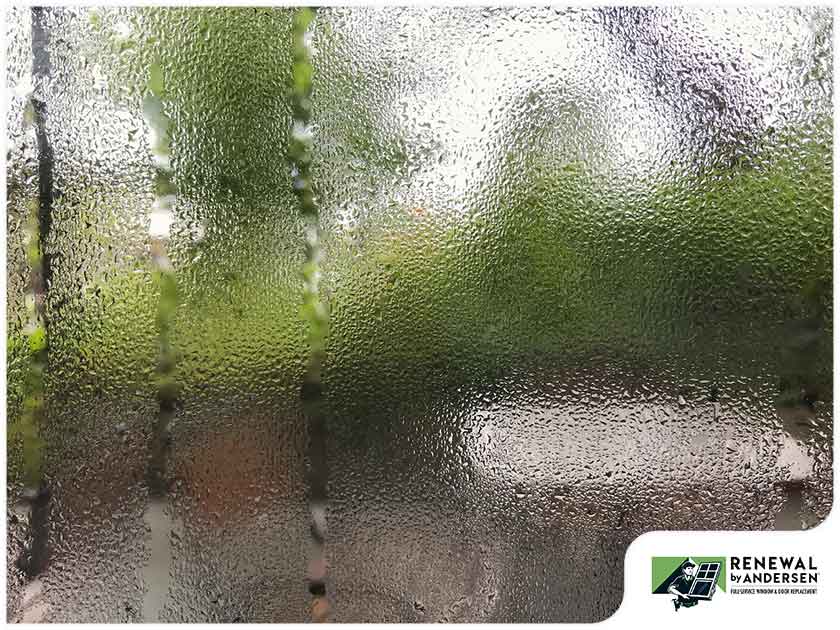 Window Condensation: What Usually Causes It?