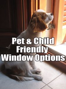 Pet & Child Friendly Replacement Windows Long Island NY