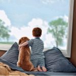 4 Advantages You’ll Enjoy from Window Replacement