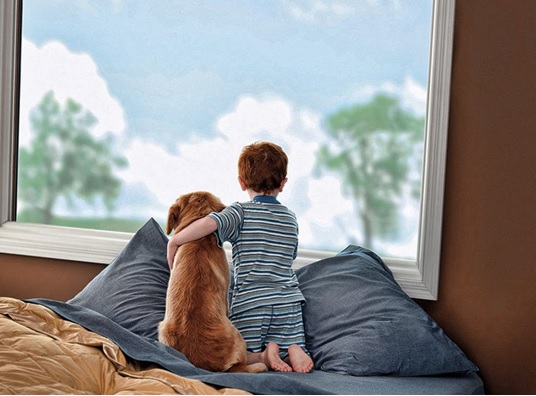 4 Advantages You’ll Enjoy from Window Replacement