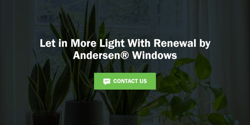 let in more light with renewal by andersen windows
